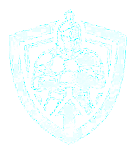 Constant Sentinel